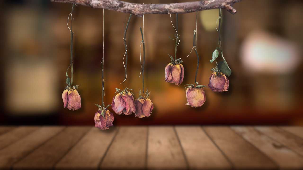 Hanging Roses Upside Down Spiritual Meaning: Symbolism Of Hang Flowers Upside