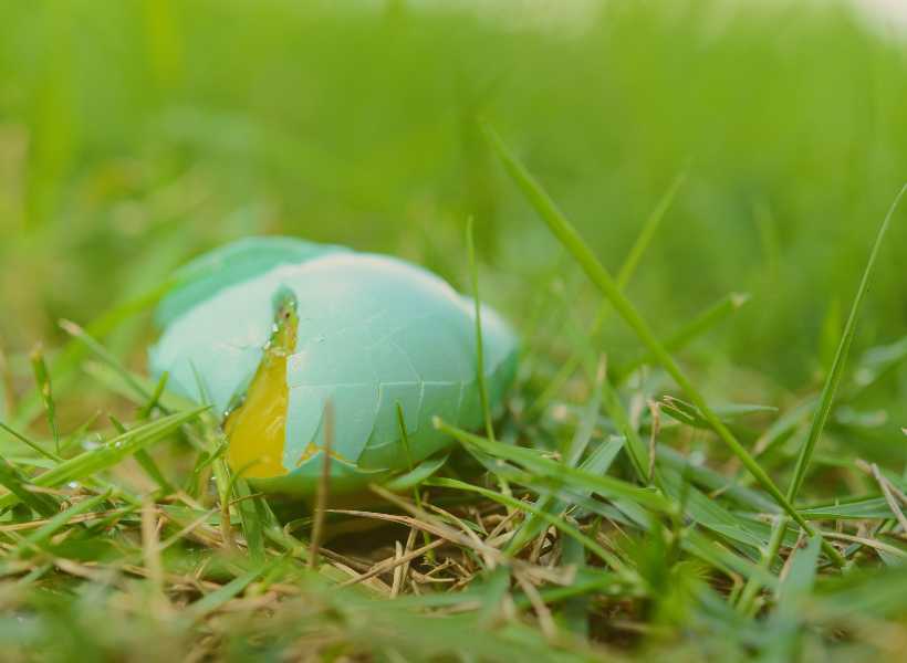 Broken egg spiritual meaning
