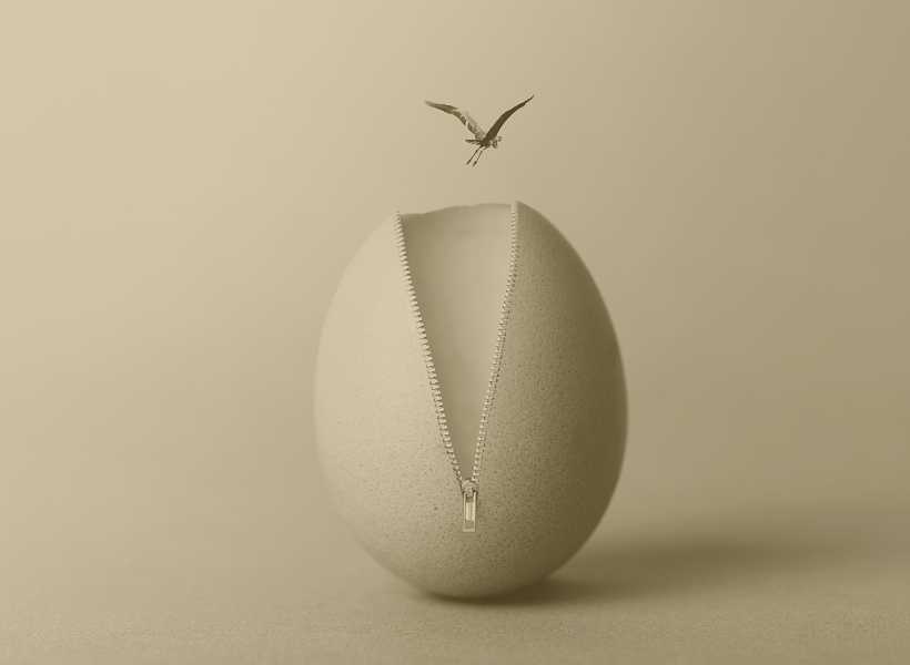 Finding Peace And Acceptance In Times Of Change Through The Symbolism Of A Broken Bird Egg: New Beginnings
