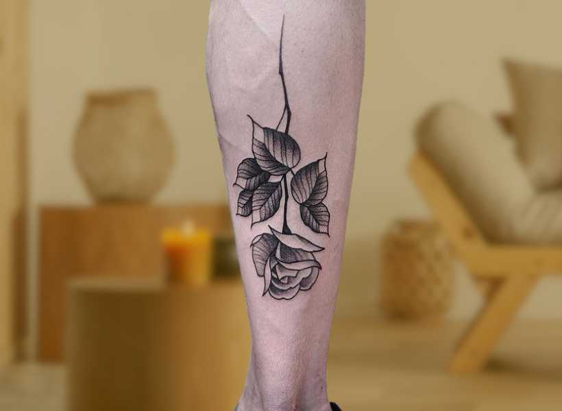 Symbolism behind upside down rose