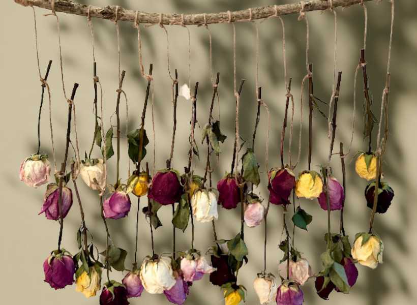 Wall-mounted rose decor