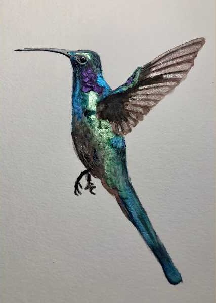 The Spiritual Meanings Associated With Hummingbirds, Such As Love, Joy, And Beauty