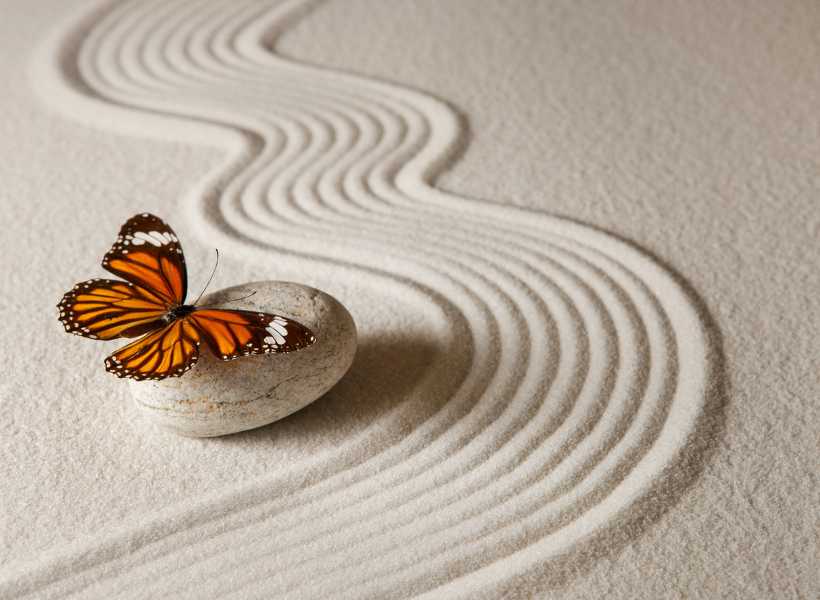 Do butterflies have spiritual meaning