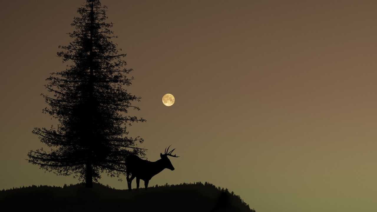Seeing A Deer Meaning Spiritual