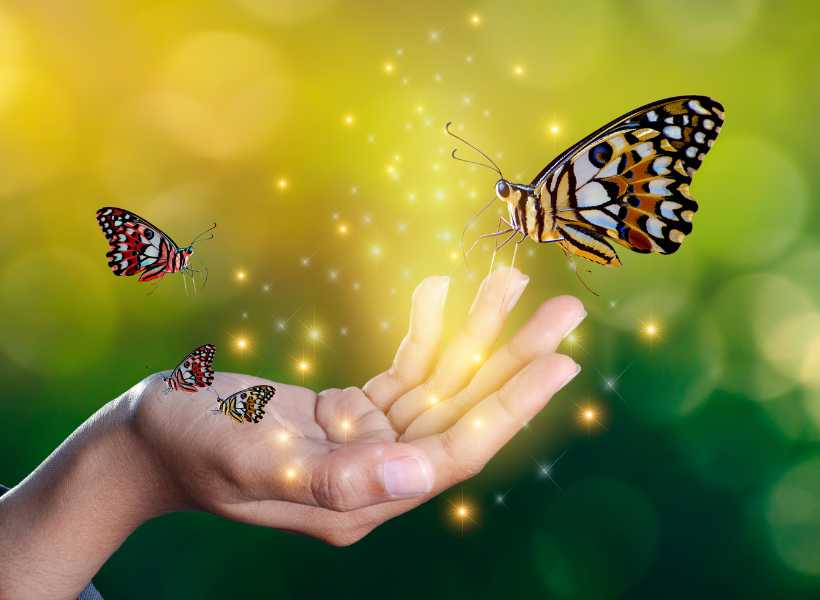 Spiritual meaning for butterfly