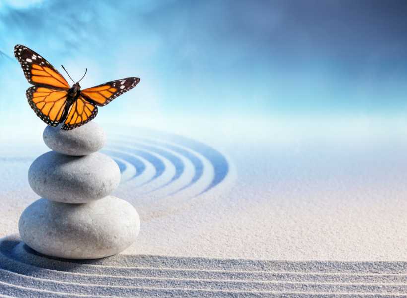 Spiritual meaning behind butterflies