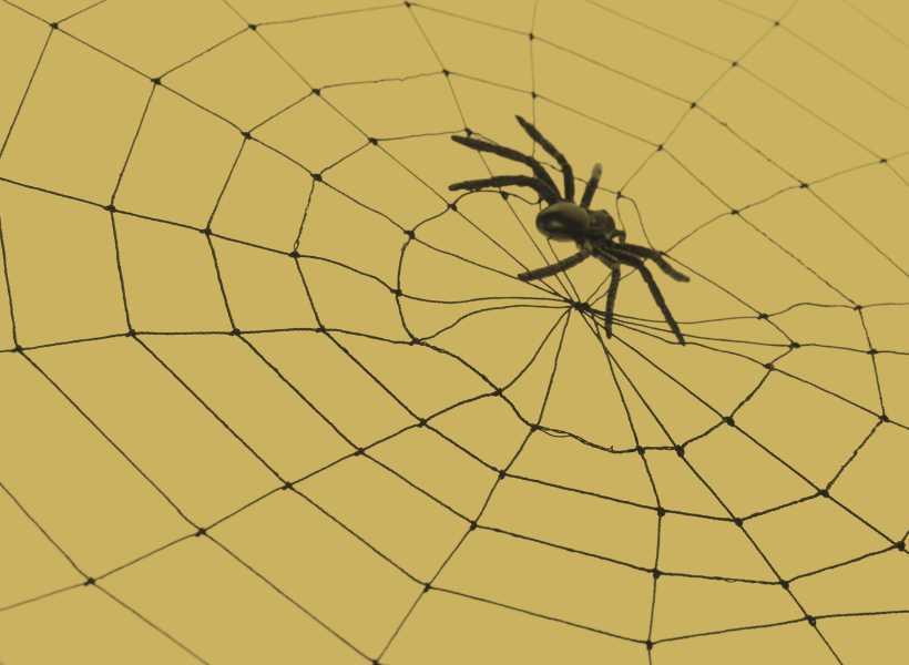 Spiritual meaning seeing spiders