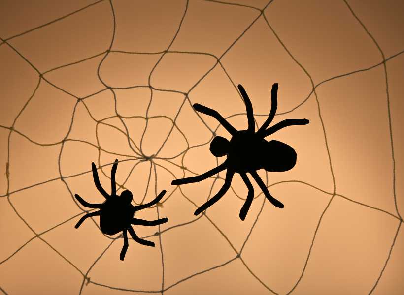 Spiritual meaning to spiders