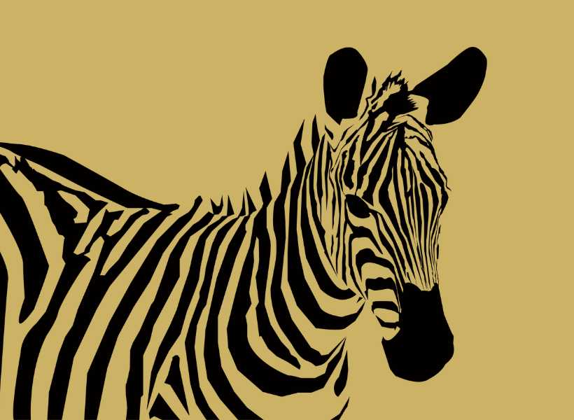 Spiritual meaning zebra