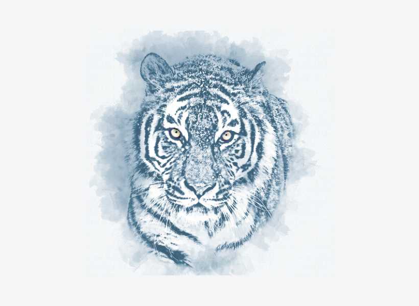 The Spiritual Meaning Of The Tiger As A Symbol Of Strength And Power Animal