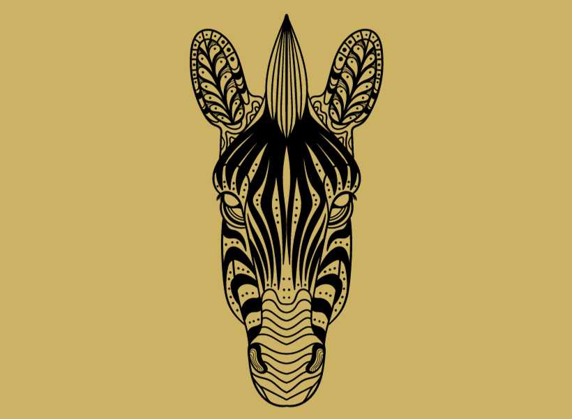 Zebra Symbolism And Meaning