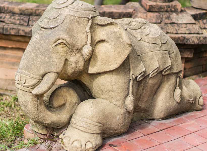Elephants As A Symbol Of Strength And Power Animal