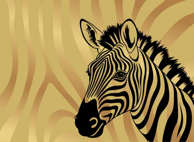 Symbolism Of The Zebra In Different Spiritual Traditions