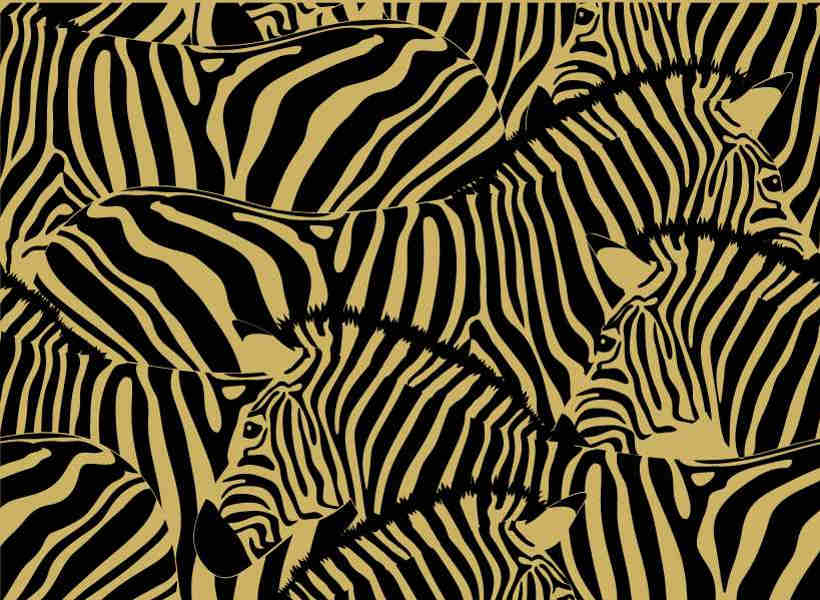 Zebra stripes meaning