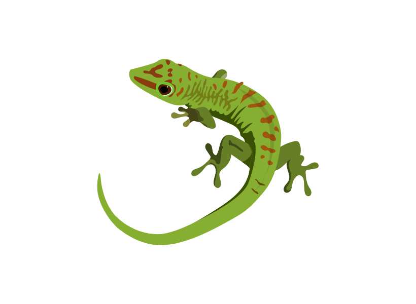 Green lizard spiritual meaning