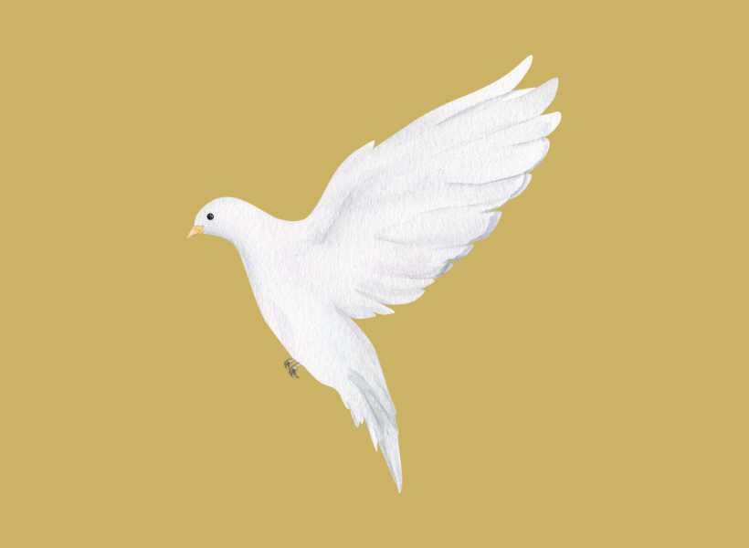 Grey pigeon spiritual meaning