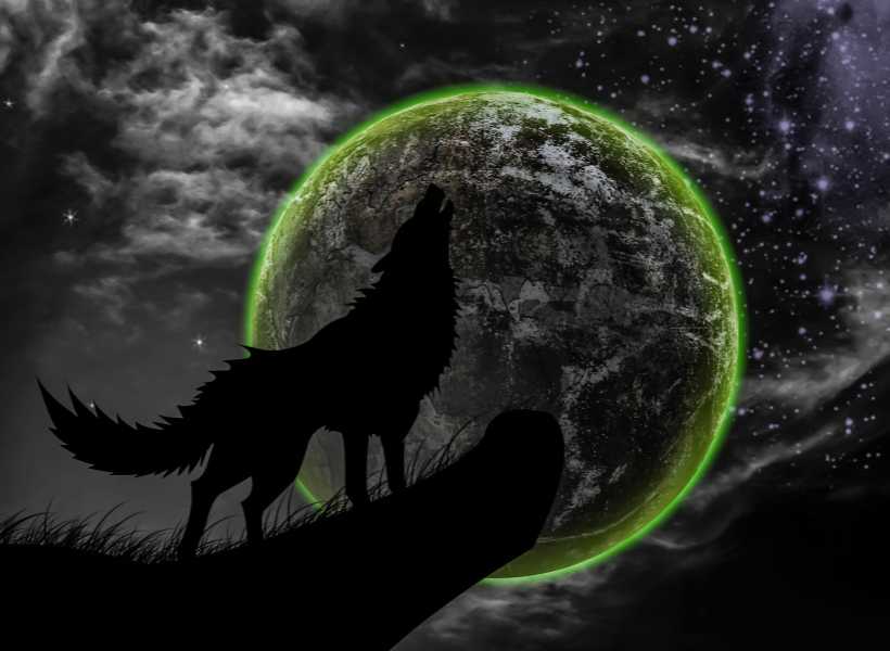 Incorporating Wolf Symbolism Into Rituals Or Ceremonies For Personal Empowerment