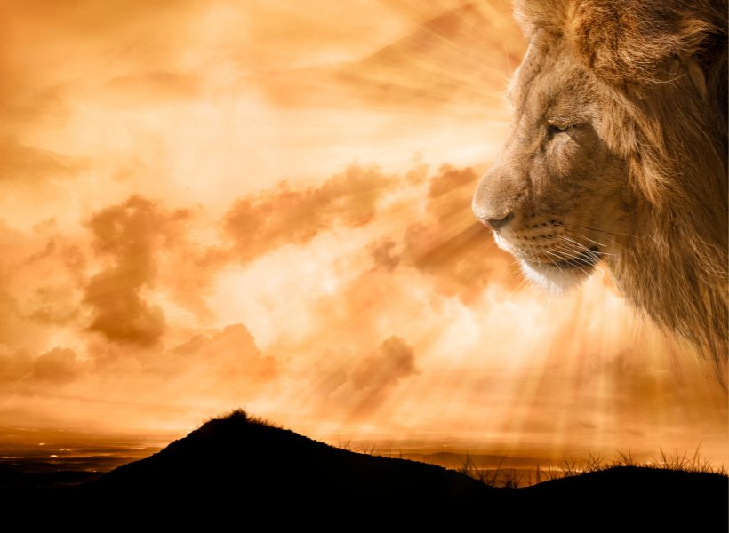 What does a lion symbolize