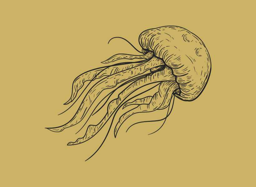 Jellyfish Spiritual Meaning: Jellyfish Mythology And Folklore