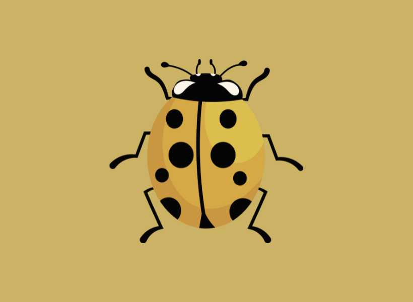Spiritual meaning lady beetle