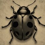 Spiritual Meaning Ladybug: See A Ladybug Symbolism Spirit Animal