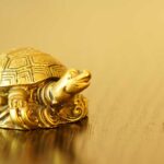 Spiritual Meaning Turtle: Sea Turtle Symbolism