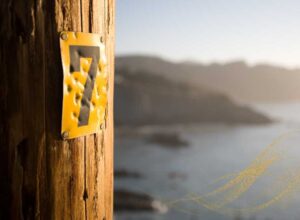 Spiritual Meaning On Number 7: Meaning Of The Number