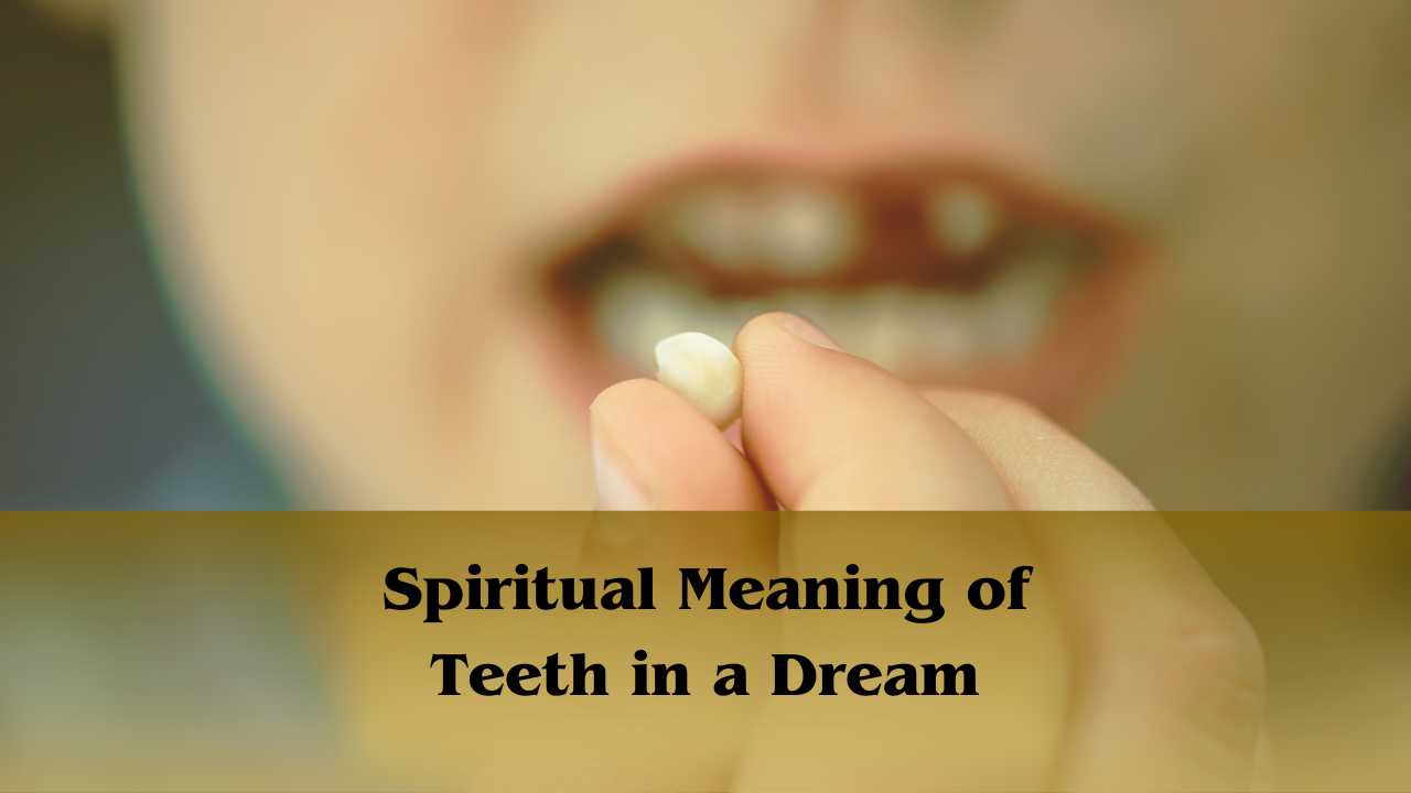Spiritual meaning of teeth in a dream