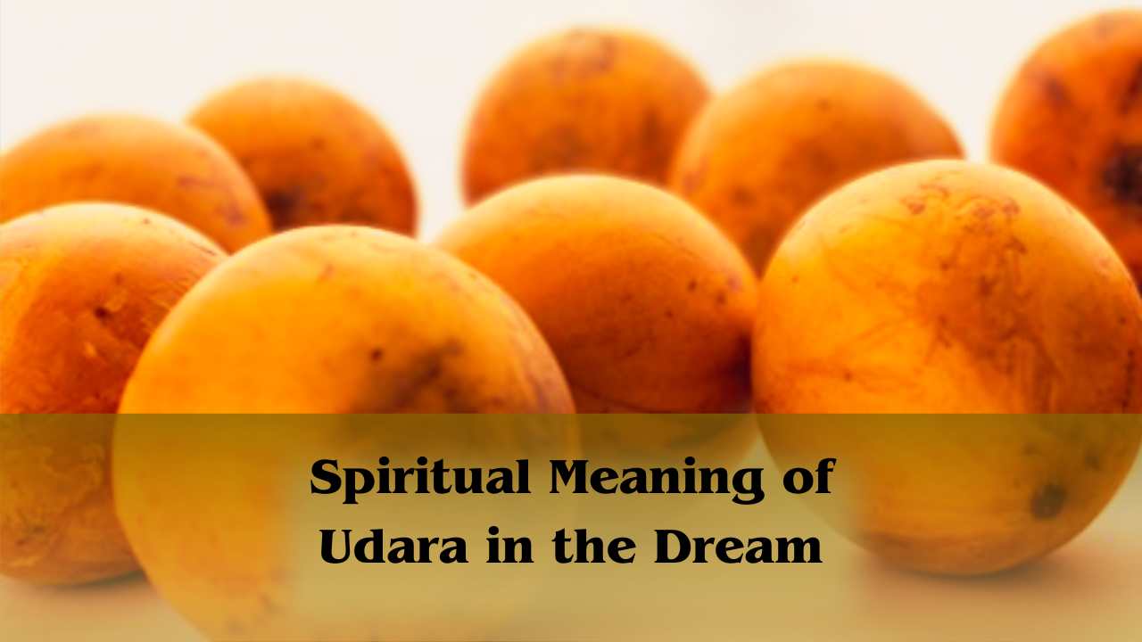 Spiritual meaning of udara in the dream