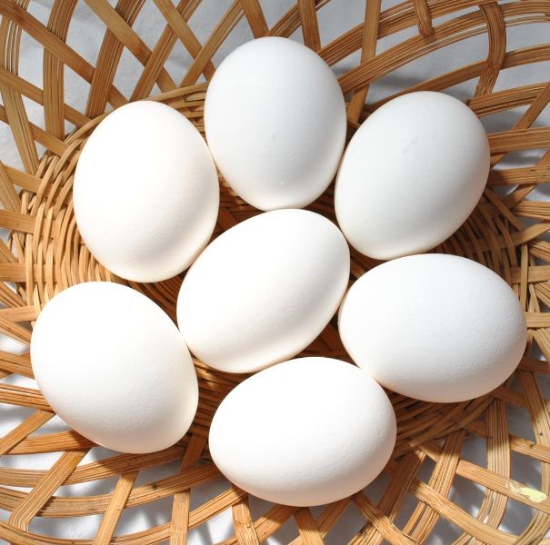 Seeing white eggs in dream meaning