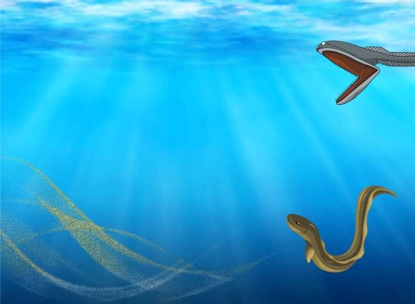 Seeking Guidance From Spiritual Or Dream Experts On Decoding Eel Dreams