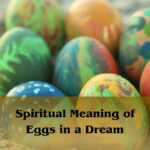 Spiritual Meaning Of Eggs In A Dream: Egg Dream Meaning