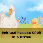 Spiritual Meaning Of Duck In Dream 🦆: Dream About Ducks