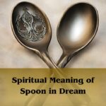 Spiritual Meaning Of Spoon In Dream: Spoon Dream Meaning