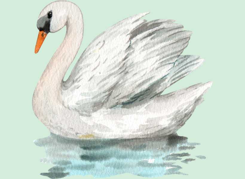 Spiritual meaning of white duck in dream