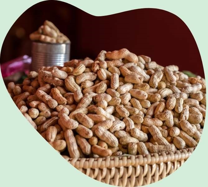 Roasted groundnut in dream