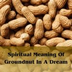 Spiritual Meaning Of Groundnut In A Dream: Groundnut Dream Meaning