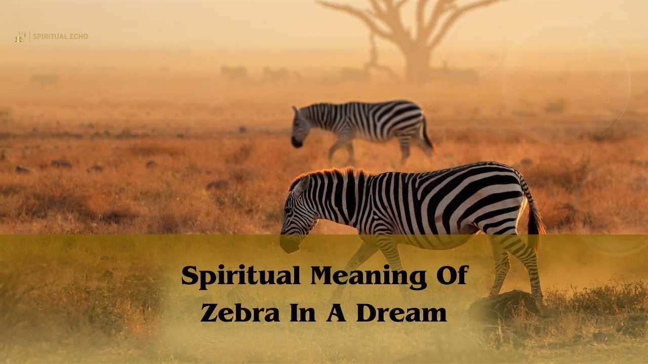 Spiritual Meaning Of Zebra In A Dream