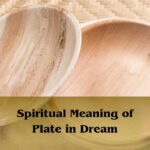 Spiritual Meaning Of Plate In Dream: Plate Dream Interpretation