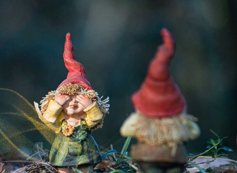 Interpreting The Potential Meanings Of Mischief In Gnome Dreams