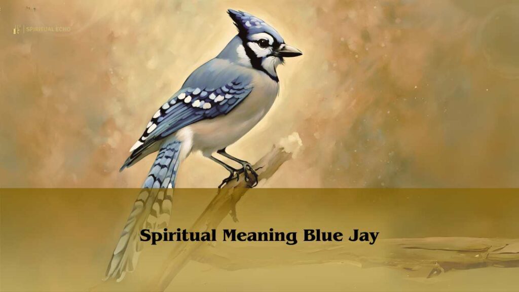 Spiritual Meaning Blue Jay Symbolism