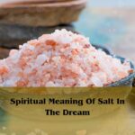 Spiritual Meaning Of Salt In The Dream: Salt Dream Meaning