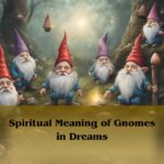 Spiritual Meaning Of Gnomes In Dreams: Gnome Dream Meaning Symbolism