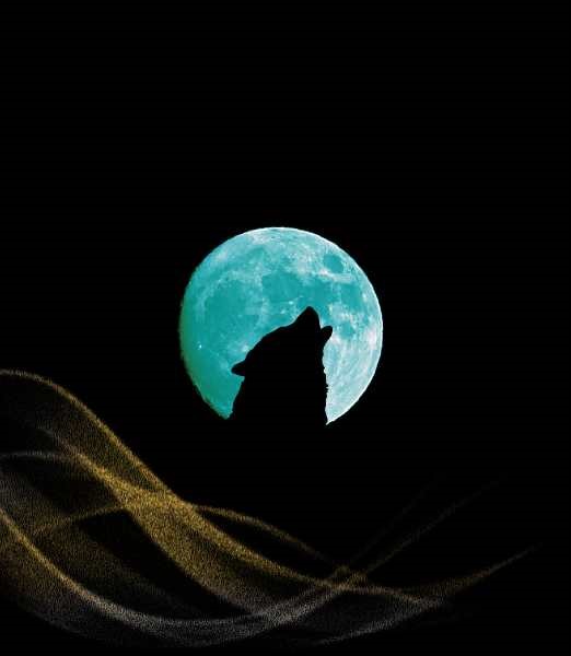 Understanding The Spiritual Significance Of Wolves In Dreams: Wolf Dream
