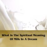 What Is The Spiritual Meaning Of Milk In A Dream: Milk Dream Meaning