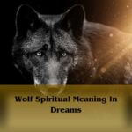 Wolf Spiritual Meaning In Dreams: Wolf In Dreams Meaning