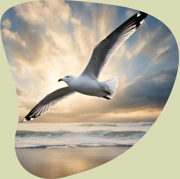 3 seagulls spiritual meaning