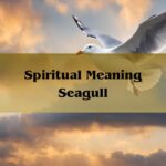 Spiritual Meaning Seagull: Spirit Animal Symbolism 