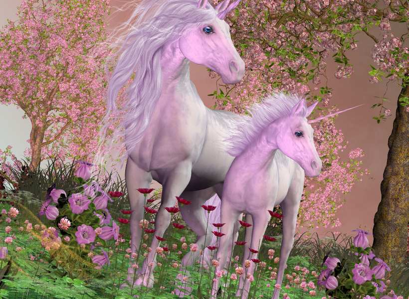 Connecting With The Mystical And Spiritual Energy Of Unicorns