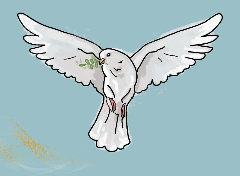 Connecting With The Spiritual Energy Of The White Dove